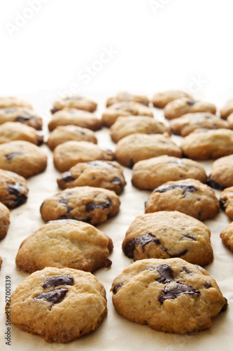 chocolate chip cookie