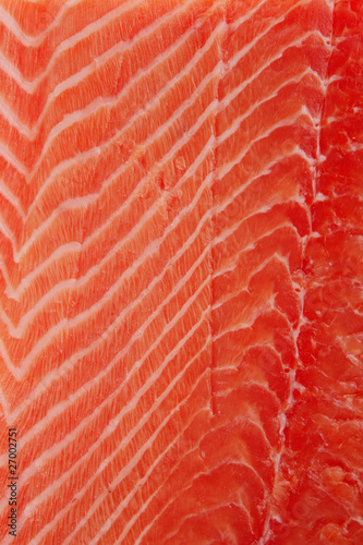 raw salmon fillet