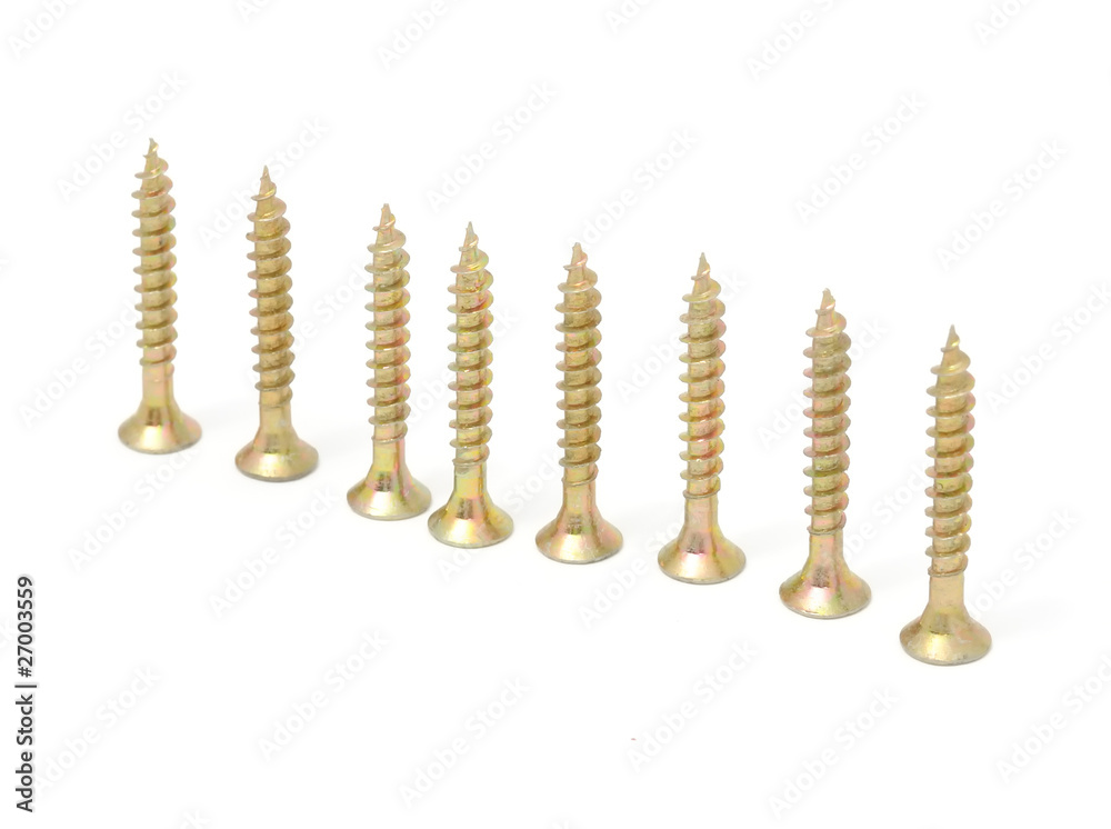 Wood Screws in Row Isolated on White Background Wood Screws in Row Isolated on White Background
