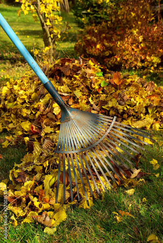 Laub harken - leaves rake 03