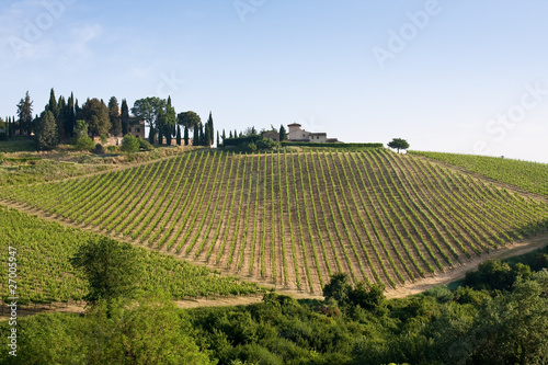 Fototapeta Naklejka Na Ścianę i Meble -  Typical Tuscan landscape