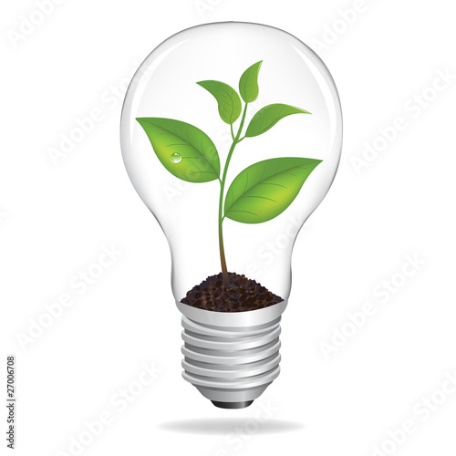 Bulb With Sprout