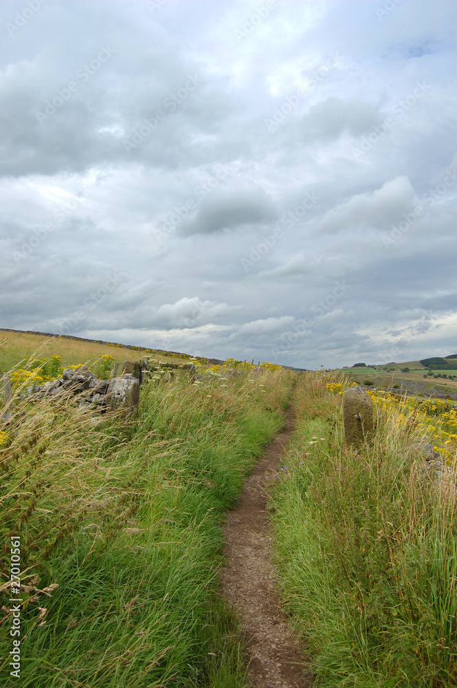Fototapeta premium Countryside path Derbyshire