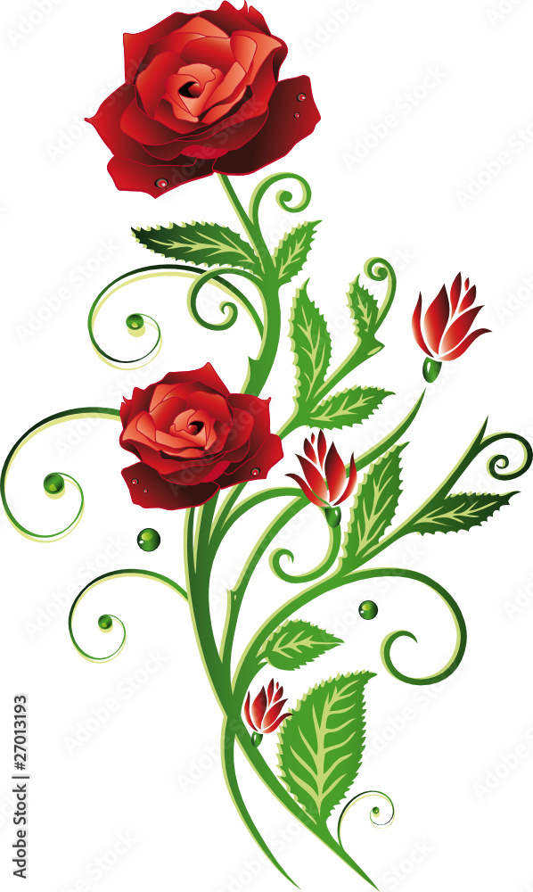 Blumen, Blüten, Rose, rote Rosen, filigran, floral, flora Stock Vector |  Adobe Stock