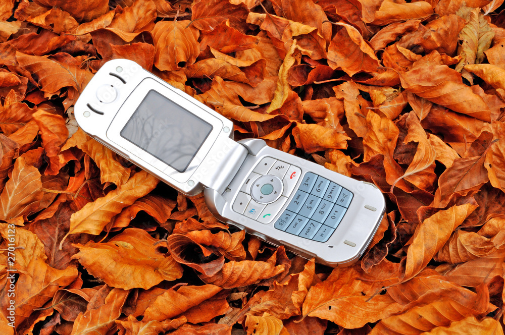 Mobile phone lying over fallen leaves