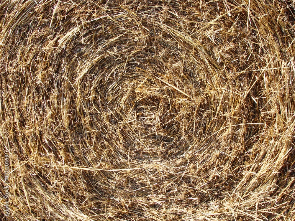 Background Texture of a Bale of Hay Background Texture of a Bale of Hay
