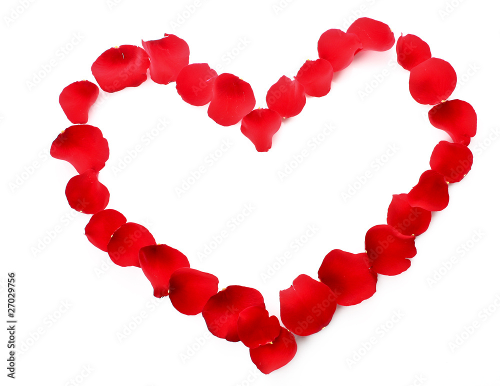 rose petals in heart symbol isolated on white rose petals in heart symbol isolated on white