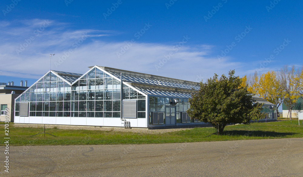 Agricultural Green House