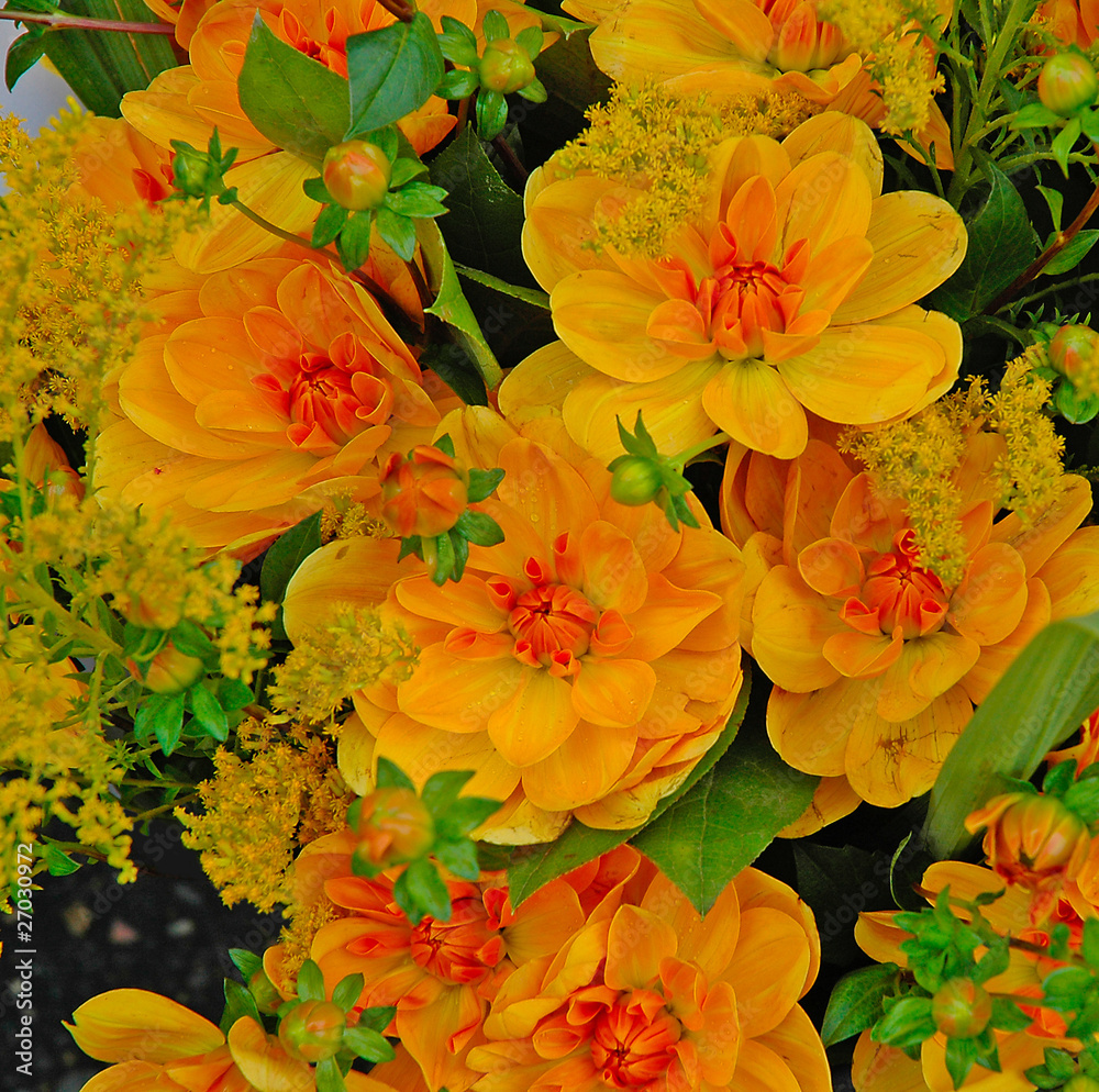 bouquet of flowers bouquet of flowers