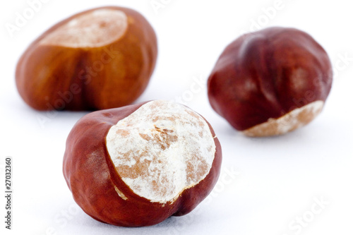 Closeup of Chestnuts  on white background