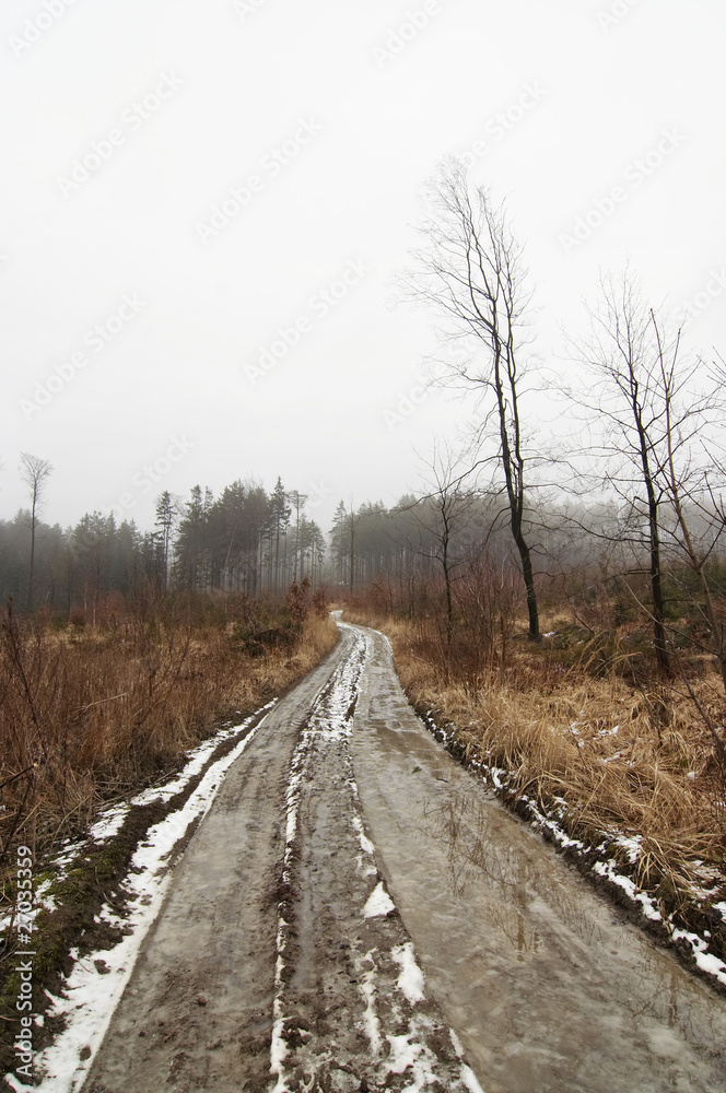 snowy winter landscape with dirt road