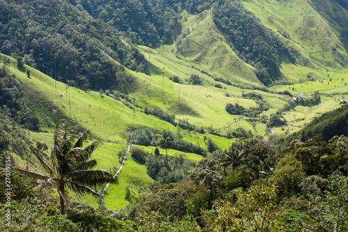 Cocora Valley, Natural Park of Colombia © Toniflap