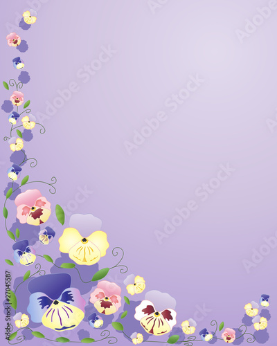 pansies