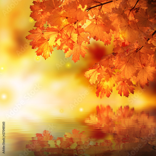 Abstract autumn maple reflexion