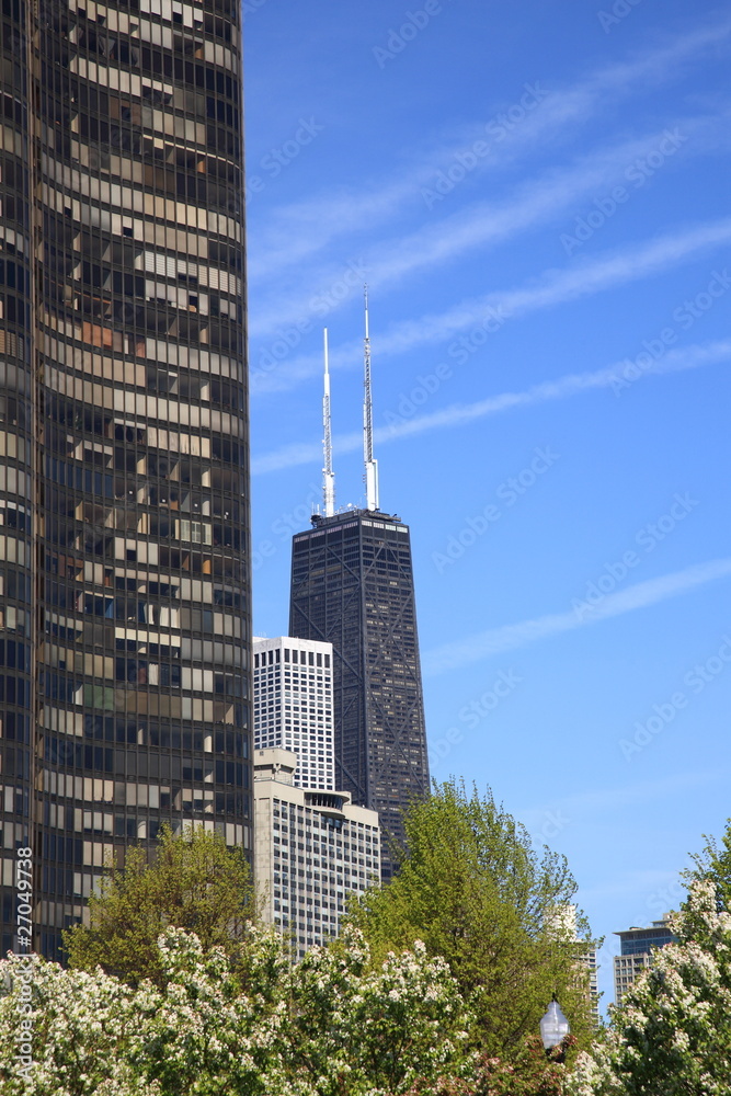Fototapeta premium Chicago Skyline