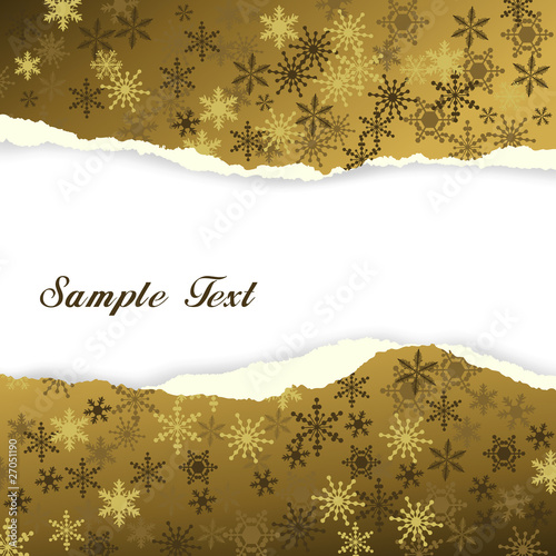 Winter background, snowflakes - vector illustration