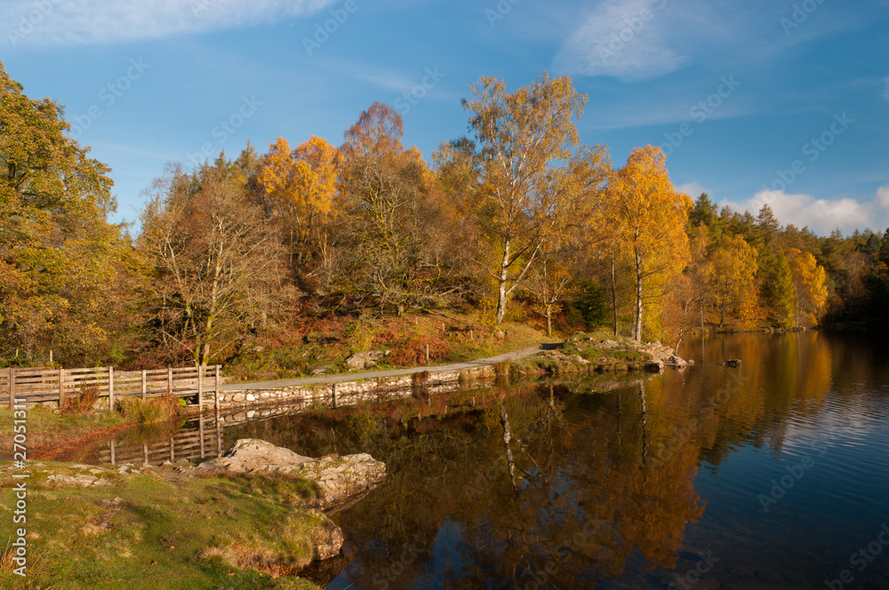 Tarn Hows in the English Lake District Tarn Hows in the English Lake District
