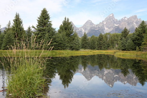 Fototapeta Naklejka Na Ścianę i Meble -  Mountain and tree reflections in water