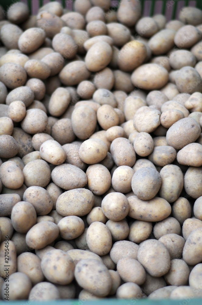 Kartoffeln Kartoffeln