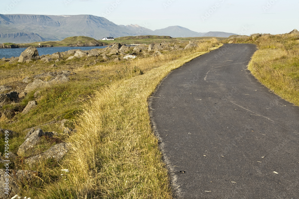 Carretera en la costa islandesa