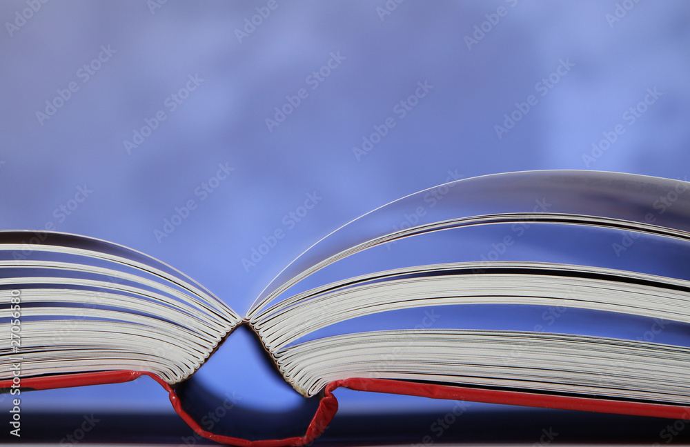 Naklejka premium books