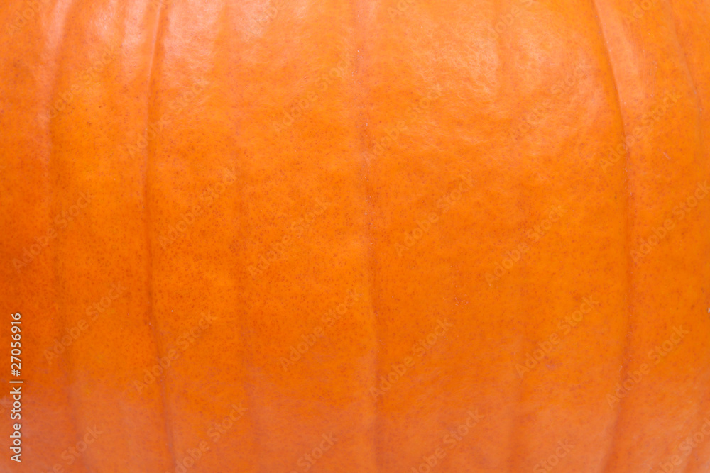 Fototapeta premium background of pumpkin in closeup