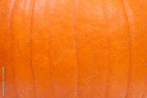 background of pumpkin in closeup © Sandra van der Steen