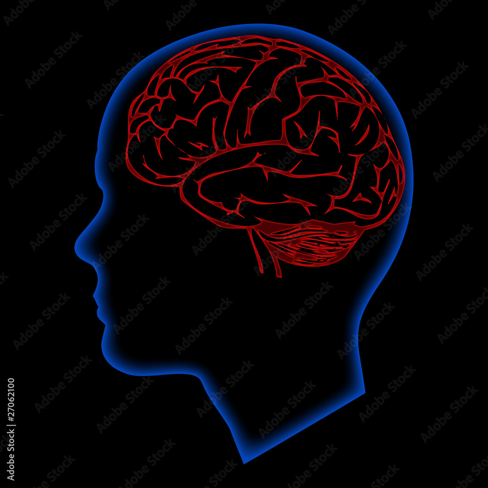 humna brain humna brain