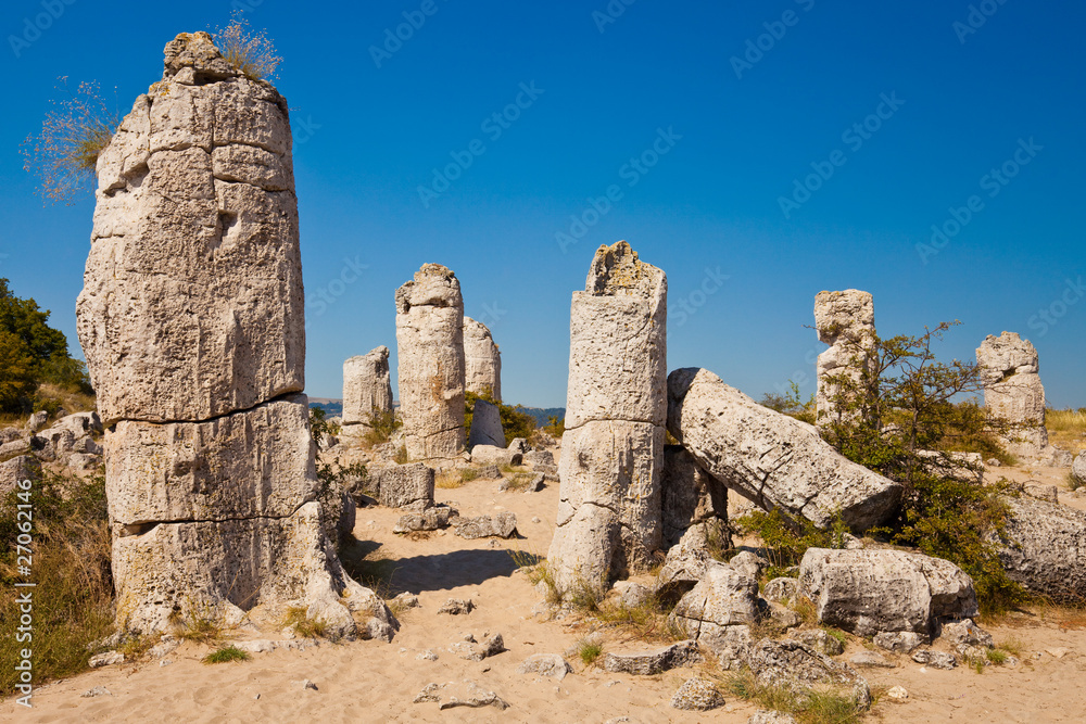 Obraz premium Pobiti Kamani Landscape in Bulgaria