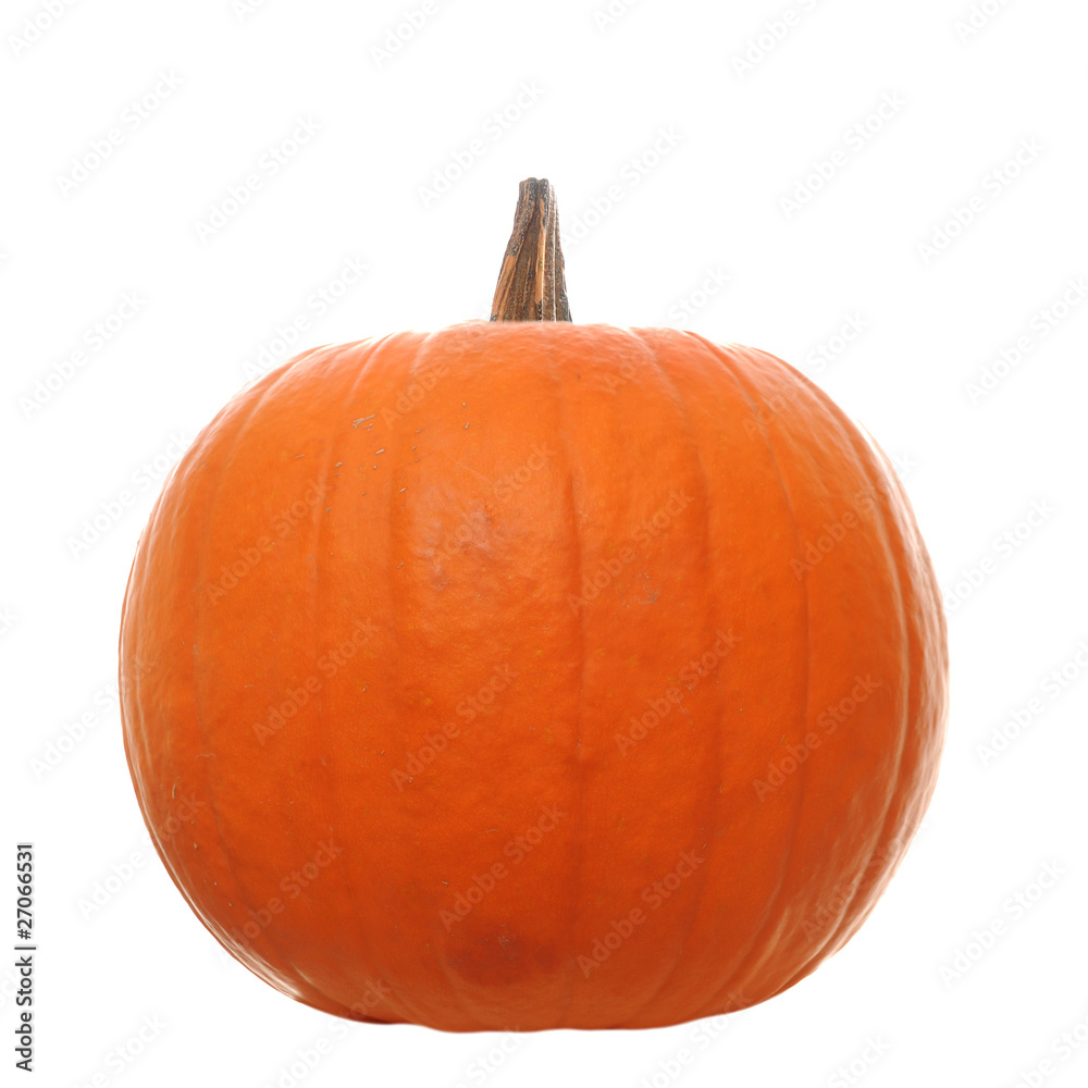 Obraz premium Pumpkin