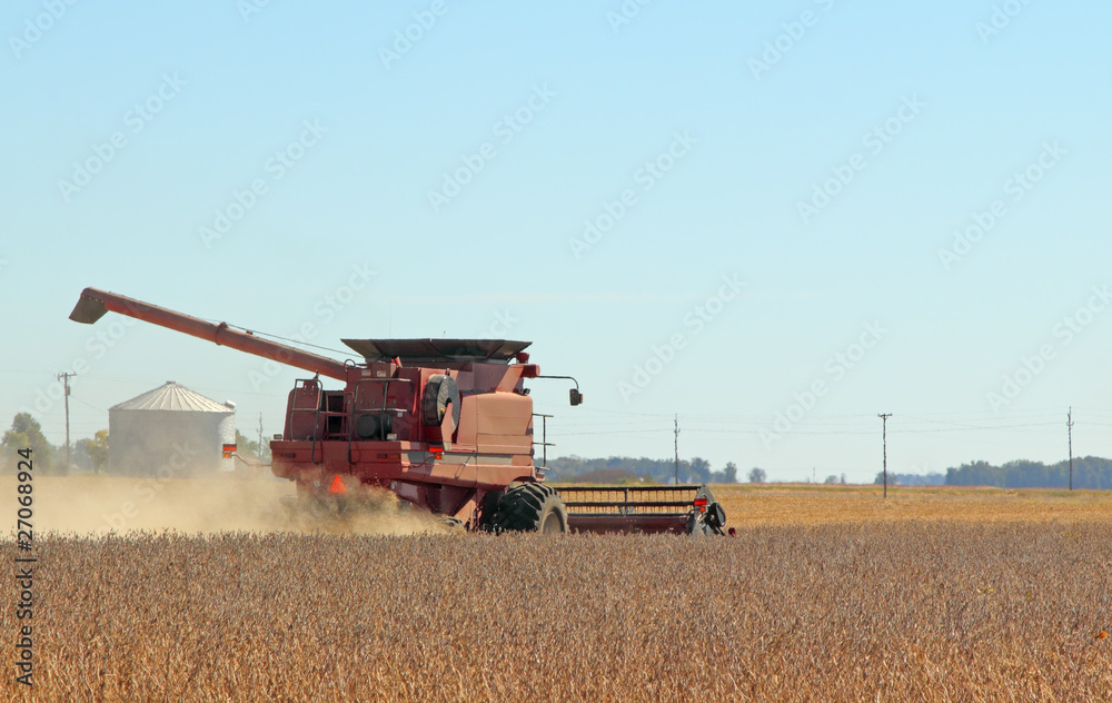 Fototapeta premium Harvesting Soybeans