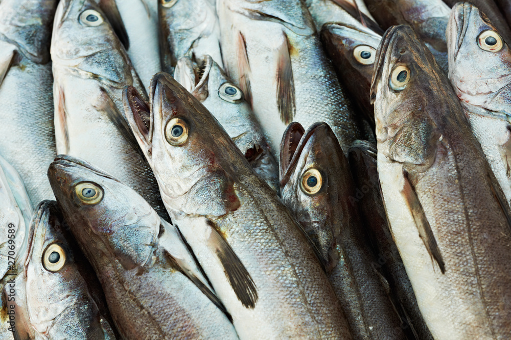 Obraz premium Cod fish