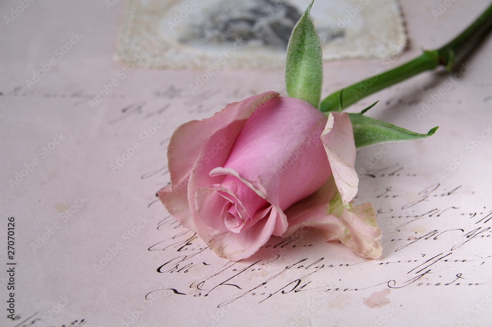 Fototapeta premium Rose auf altem Brief