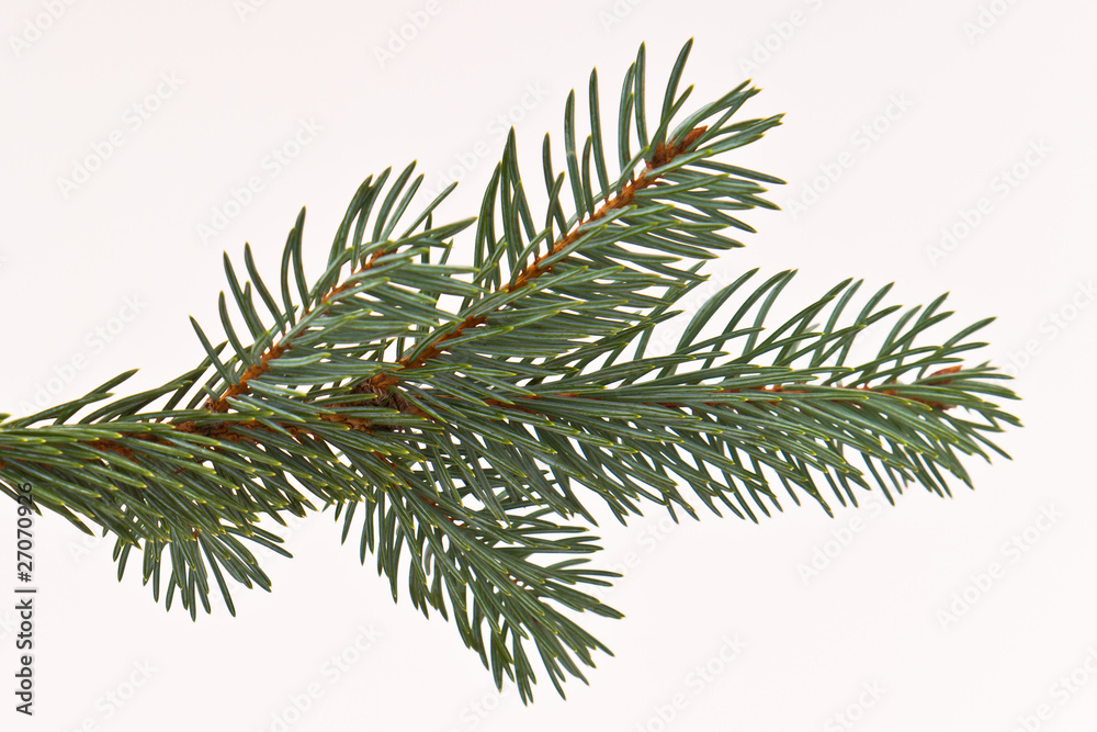 Christmas tree decoration Christmas tree decoration