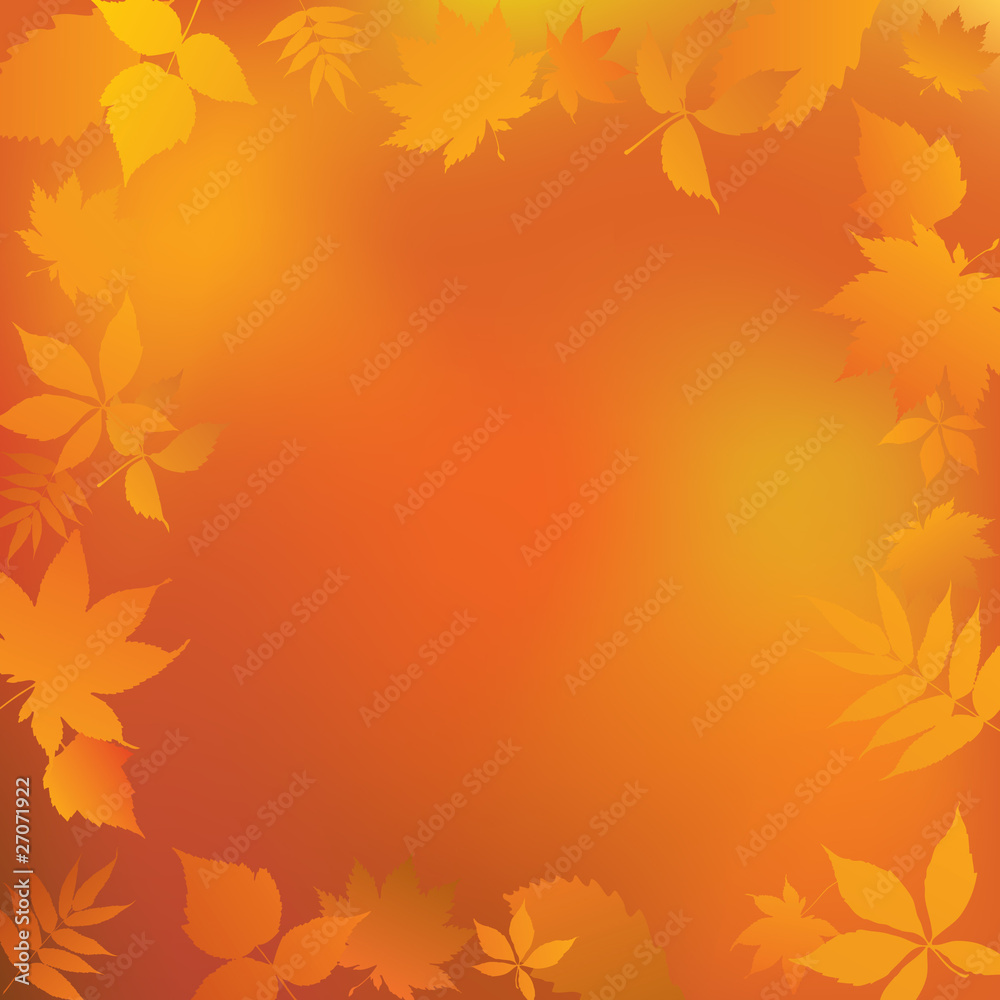 Autumn frame. Autumn frame.