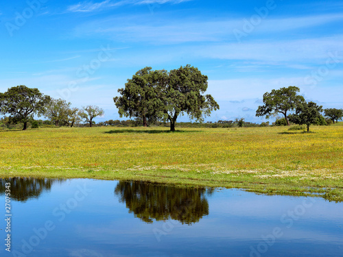 Alentejo