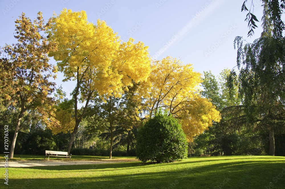 Parque otoñal