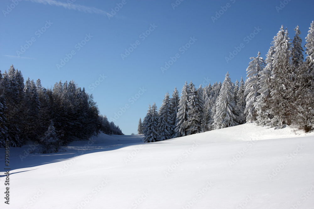 Obraz premium Winterlandschaft