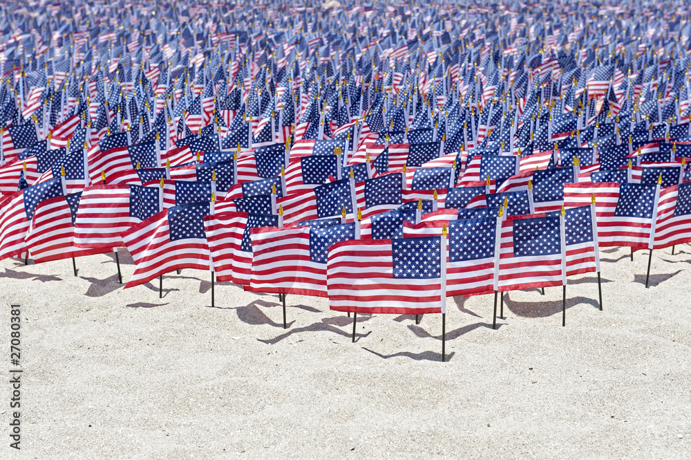 undefeated stars and stripes