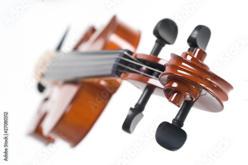 violino
