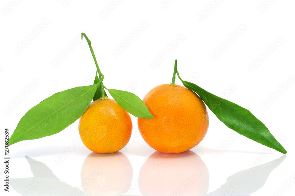 tangerines tangerines