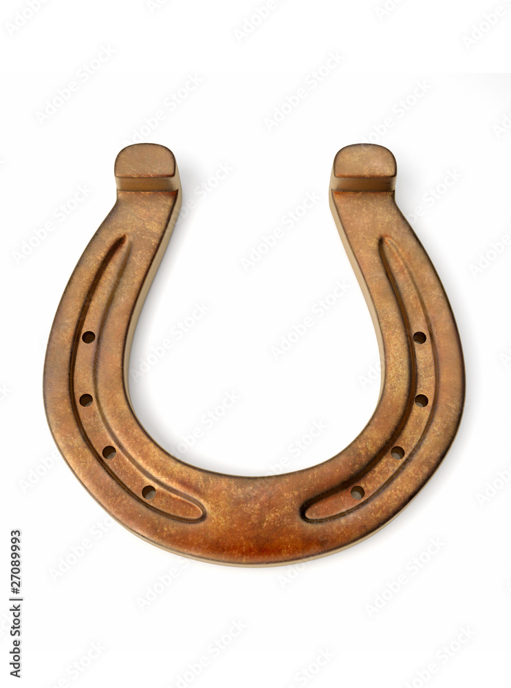 Bronze horseshoe Bronze horseshoe