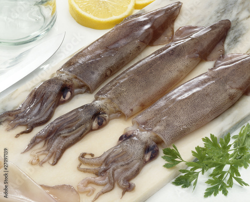 Raw squid