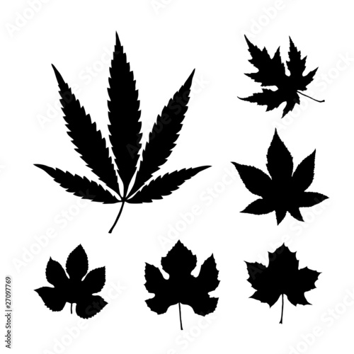 leaf silhouette