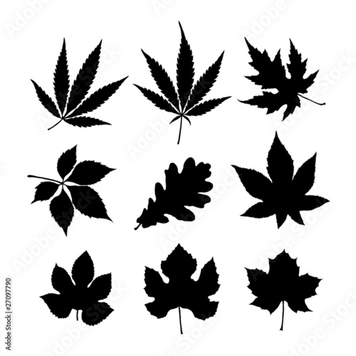 9 leaf silhouette
