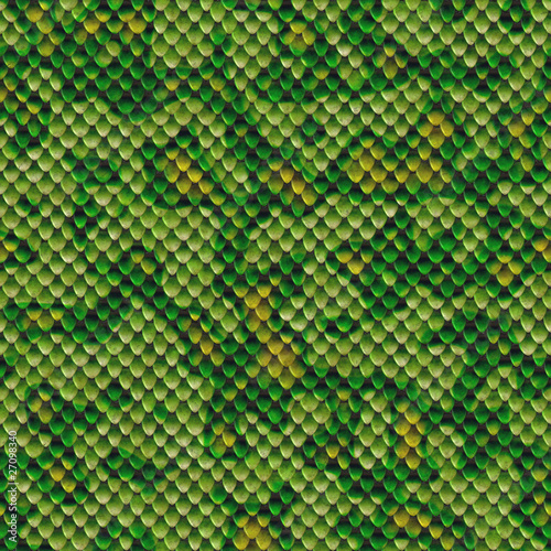 Gecko