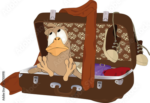 Sparrow which in travel