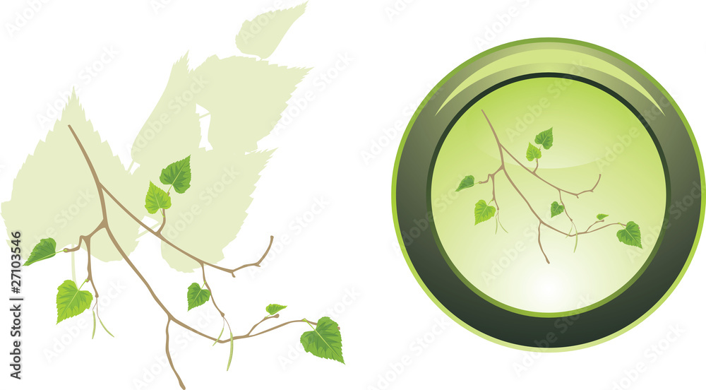 Button with sprig of birch. Vector Button with sprig of birch. Vector