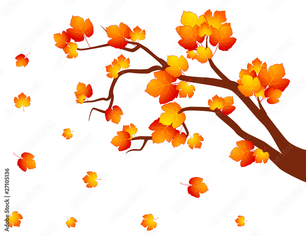 Background with autumnal tree with leaves. Background with autumnal tree with leaves.