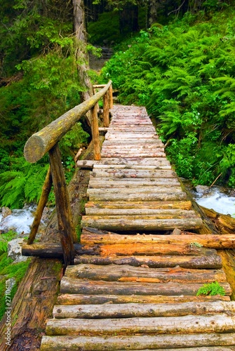 wooden bridge across a river in a forest